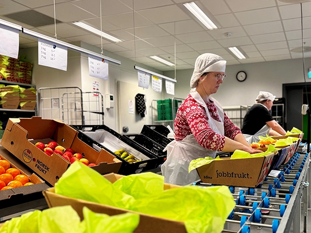 Jobbfrukt